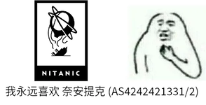 如何引爆 DN42 网络(2023-05-12 更新) 的插图